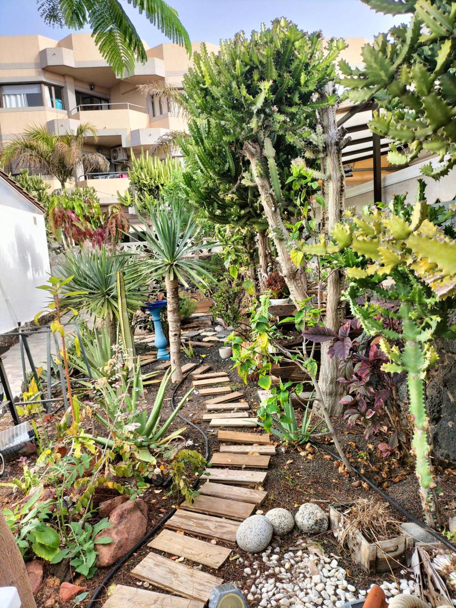 Apartamento Diamar Corralejo Luaran gambar